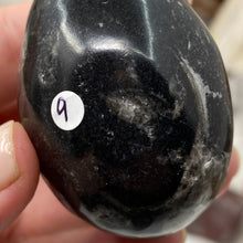 Bild in Galerie-Viewer laden, Orthoceras & Goniatite Ammonite Egg #09