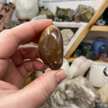 将图像加载到图库查看器中,<transcy>海洋碧玉棕榈石 #03</transcy>