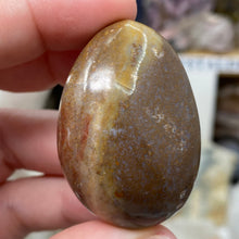 将图像加载到图库查看器中,<transcy>海洋碧玉棕榈石 #03</transcy>