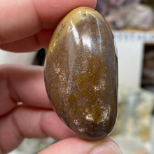 将图像加载到图库查看器中,<transcy>海洋碧玉棕榈石 #03</transcy>