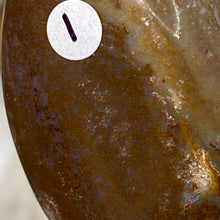 将图像加载到图库查看器中,<transcy>海洋碧玉棕榈石 #03</transcy>