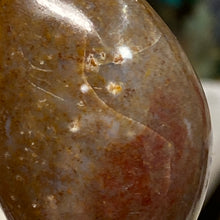 将图像加载到图库查看器中,<transcy>海洋碧玉棕榈石 #03</transcy>