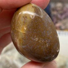 将图像加载到图库查看器中,<transcy>海洋碧玉棕榈石 #03</transcy>