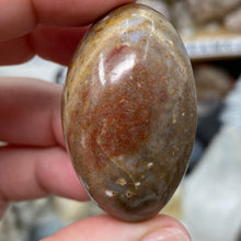 将图像加载到图库查看器中,<transcy>海洋碧玉棕榈石 #03</transcy>