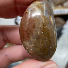 将图像加载到图库查看器中,<transcy>海洋碧玉棕榈石 #03</transcy>