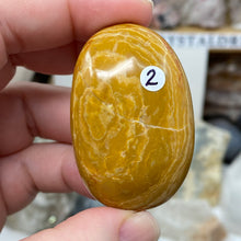 将图像加载到图库查看器中,<transcy>海洋碧玉棕榈石 #03</transcy>