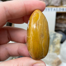 将图像加载到图库查看器中,<transcy>海洋碧玉棕榈石 #03</transcy>