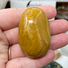 将图像加载到图库查看器中,<transcy>海洋碧玉棕榈石 #03</transcy>