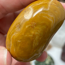 将图像加载到图库查看器中,<transcy>海洋碧玉棕榈石 #03</transcy>