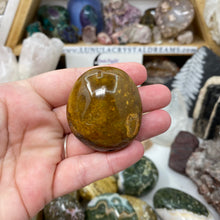 将图像加载到图库查看器中,<transcy>海洋碧玉棕榈石 #03</transcy>