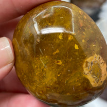 将图像加载到图库查看器中,<transcy>海洋碧玉棕榈石 #03</transcy>