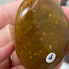 将图像加载到图库查看器中,<transcy>海洋碧玉棕榈石 #03</transcy>