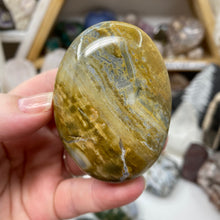 将图像加载到图库查看器中,<transcy>海洋碧玉棕榈石 #03</transcy>