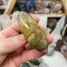 将图像加载到图库查看器中,<transcy>海洋碧玉棕榈石 #03</transcy>