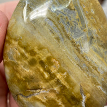 将图像加载到图库查看器中,<transcy>海洋碧玉棕榈石 #03</transcy>