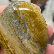 将图像加载到图库查看器中,<transcy>海洋碧玉棕榈石 #03</transcy>