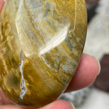 将图像加载到图库查看器中,<transcy>海洋碧玉棕榈石 #03</transcy>