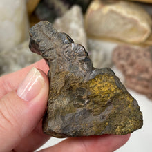 Bild in Galerie-Viewer laden, Botryoidal Hematite #25