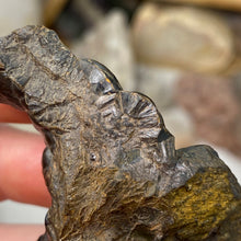 Bild in Galerie-Viewer laden, Botryoidal Hematite #25