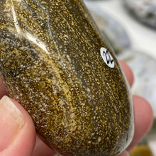 将图像加载到图库查看器中,<transcy>海洋碧玉棕榈石 #03</transcy>