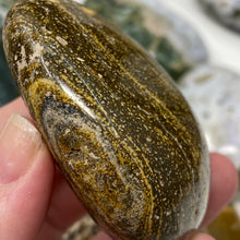 将图像加载到图库查看器中,<transcy>海洋碧玉棕榈石 #03</transcy>