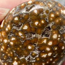 Cargar imagen en el visor de la galería, Ocean Jasper Palm Stone #25