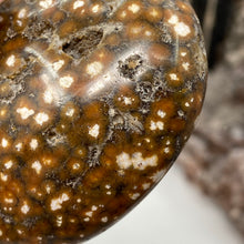 Cargar imagen en el visor de la galería, Ocean Jasper Palm Stone #25