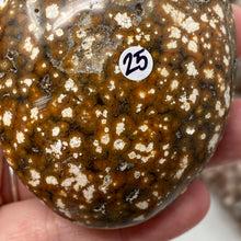 Cargar imagen en el visor de la galería, Ocean Jasper Palm Stone #25