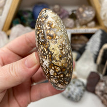 将图像加载到图库查看器中,<transcy>海洋碧玉棕榈石 #03</transcy>