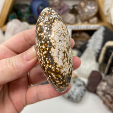 将图像加载到图库查看器中,<transcy>海洋碧玉棕榈石 #03</transcy>