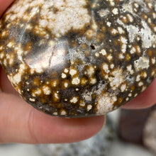 将图像加载到图库查看器中,<transcy>海洋碧玉棕榈石 #03</transcy>