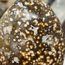 将图像加载到图库查看器中,<transcy>海洋碧玉棕榈石 #03</transcy>