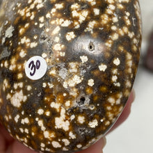 将图像加载到图库查看器中,<transcy>海洋碧玉棕榈石 #03</transcy>