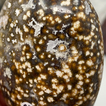 将图像加载到图库查看器中,<transcy>海洋碧玉棕榈石 #03</transcy>