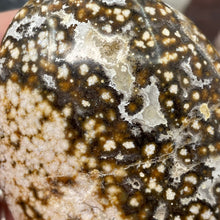 将图像加载到图库查看器中,<transcy>海洋碧玉棕榈石 #03</transcy>