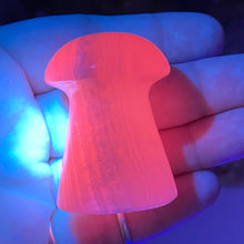 将图像加载到图库查看器中,Pink Calcite / Mangano Calcite Mushroom #09