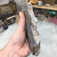 Chargez l'image dans la visionneuse de la galerie, Golden Plume Agate Un-Polished Rough #02