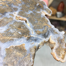 Chargez l'image dans la visionneuse de la galerie, Golden Plume Agate Un-Polished Rough #02