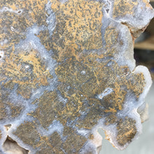 Chargez l'image dans la visionneuse de la galerie, Golden Plume Agate Un-Polished Rough #02