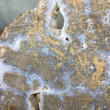 Chargez l'image dans la visionneuse de la galerie, Golden Plume Agate Un-Polished Rough #02