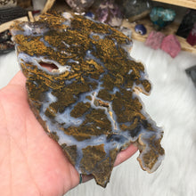 Chargez l'image dans la visionneuse de la galerie, Golden Plume Agate Un-Polished Rough #02