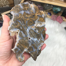 Chargez l'image dans la visionneuse de la galerie, Golden Plume Agate Un-Polished Rough #02