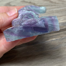 Bild in Galerie-Viewer laden, Fluorite Sea Horse #1 * UV Reactive