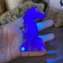 Bild in Galerie-Viewer laden, Fluorite Sea Horse #1 * UV Reactive