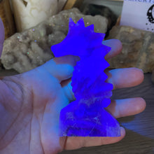 Bild in Galerie-Viewer laden, Fluorite Sea Horse #1 * UV Reactive