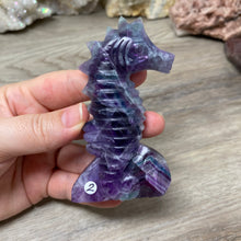 Chargez l'image dans la visionneuse de la galerie, Fluorite Sea Horse #2 * UV Reactive