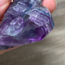 Chargez l'image dans la visionneuse de la galerie, Fluorite Sea Horse #2 * UV Reactive