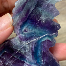 Chargez l'image dans la visionneuse de la galerie, Fluorite Sea Horse #2 * UV Reactive