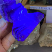 Chargez l'image dans la visionneuse de la galerie, Fluorite Sea Horse #2 * UV Reactive