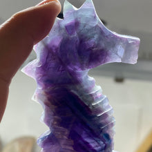 Chargez l'image dans la visionneuse de la galerie, Fluorite Sea Horse #2 * UV Reactive